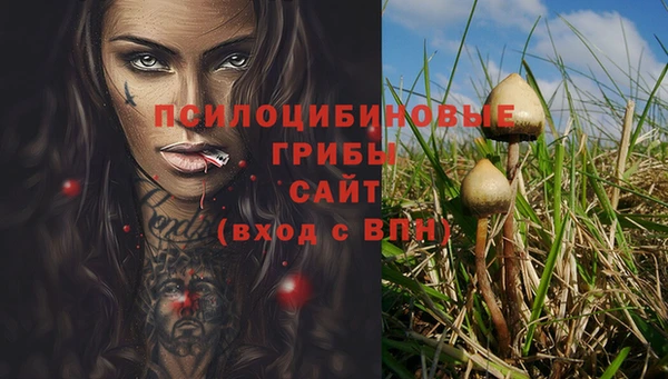 мдма Козловка