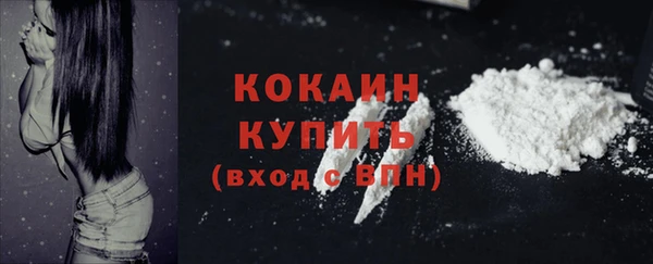 прущая мука Кодинск