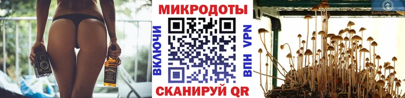 Галлюциногенные грибы прущие грибы  Купить где  Камызяк 